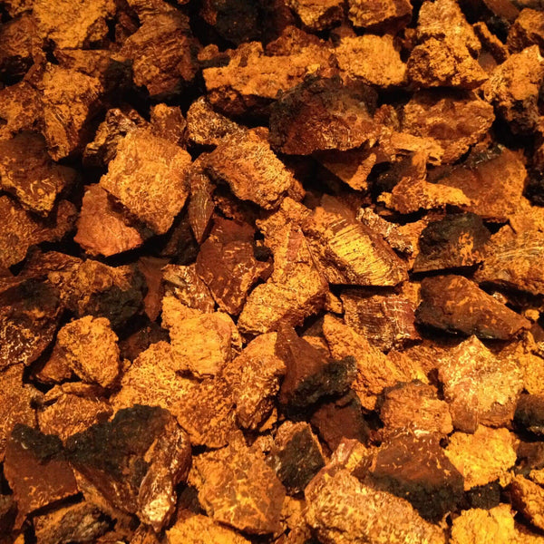 Chaga
