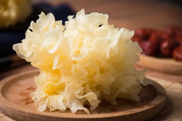 Tremella